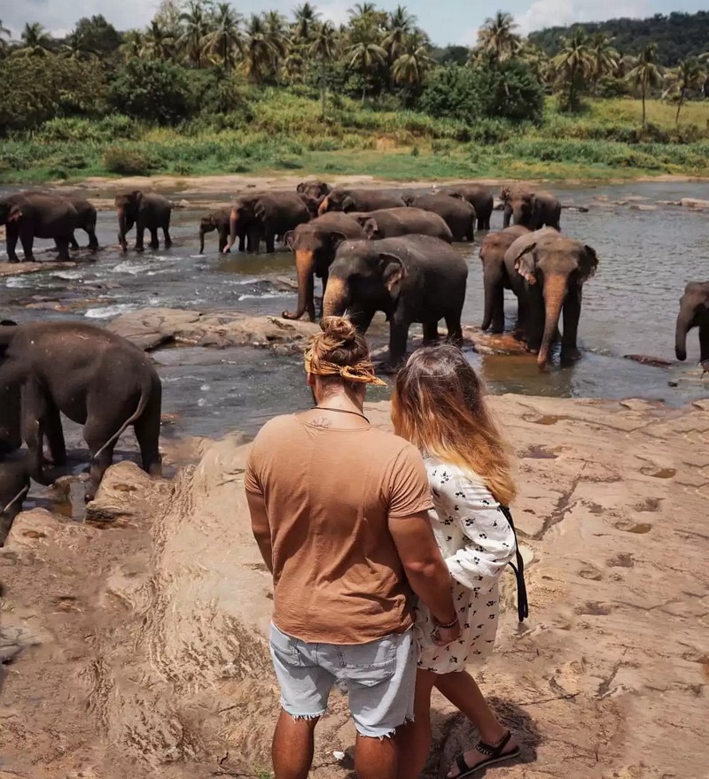 Pinnawala Elephant Orphanage (2 Pax.) - Image 2