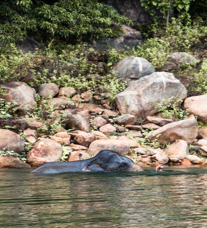 Gal Oya National Park (2 Pax., 2 Day Tour) - Image 8