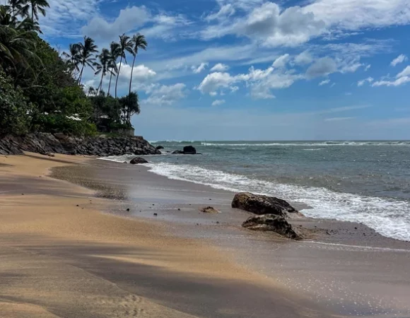 Discovery the Beaches