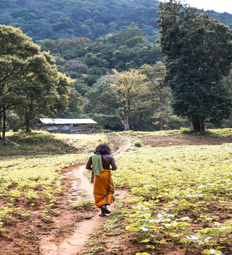 Gal Oya National Park (2 Pax., 2 Day Tour) - Image 2