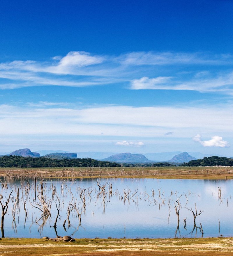 Gal Oya National Park (2 Pax., 2 Day Tour) - Image 9