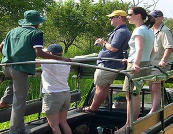 Butterfly Experienced